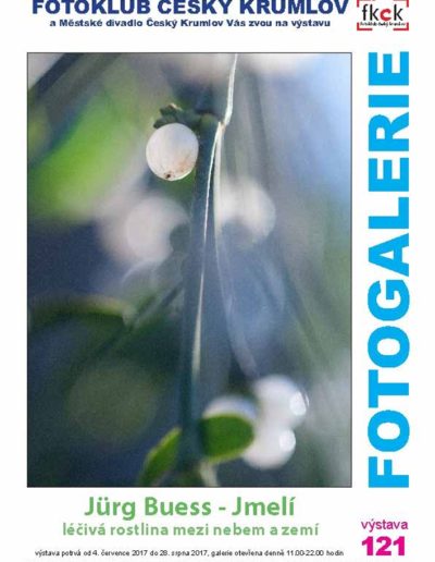 170622_FCK_BUESS_plakat