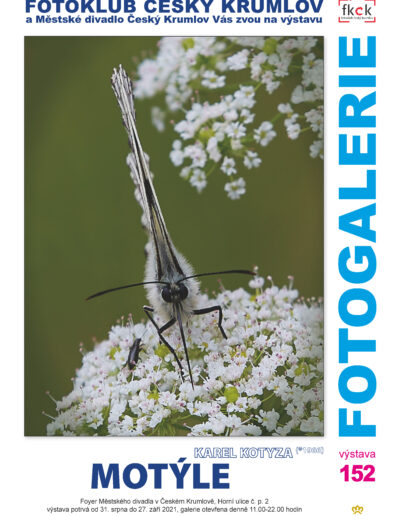 210811FKCK_MDCK_KOTYZA_plakat_v01
